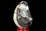 Septarian Dragon Egg Geode - Black Crystals #83190-1